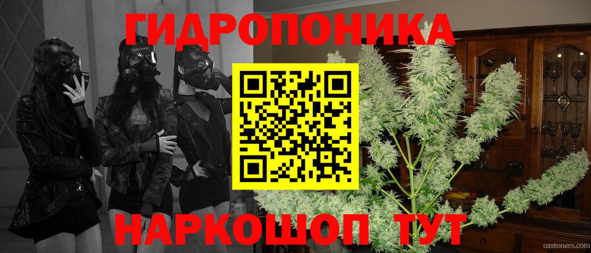 Каннабис семена Югорск